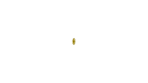 TAYSENTOTO